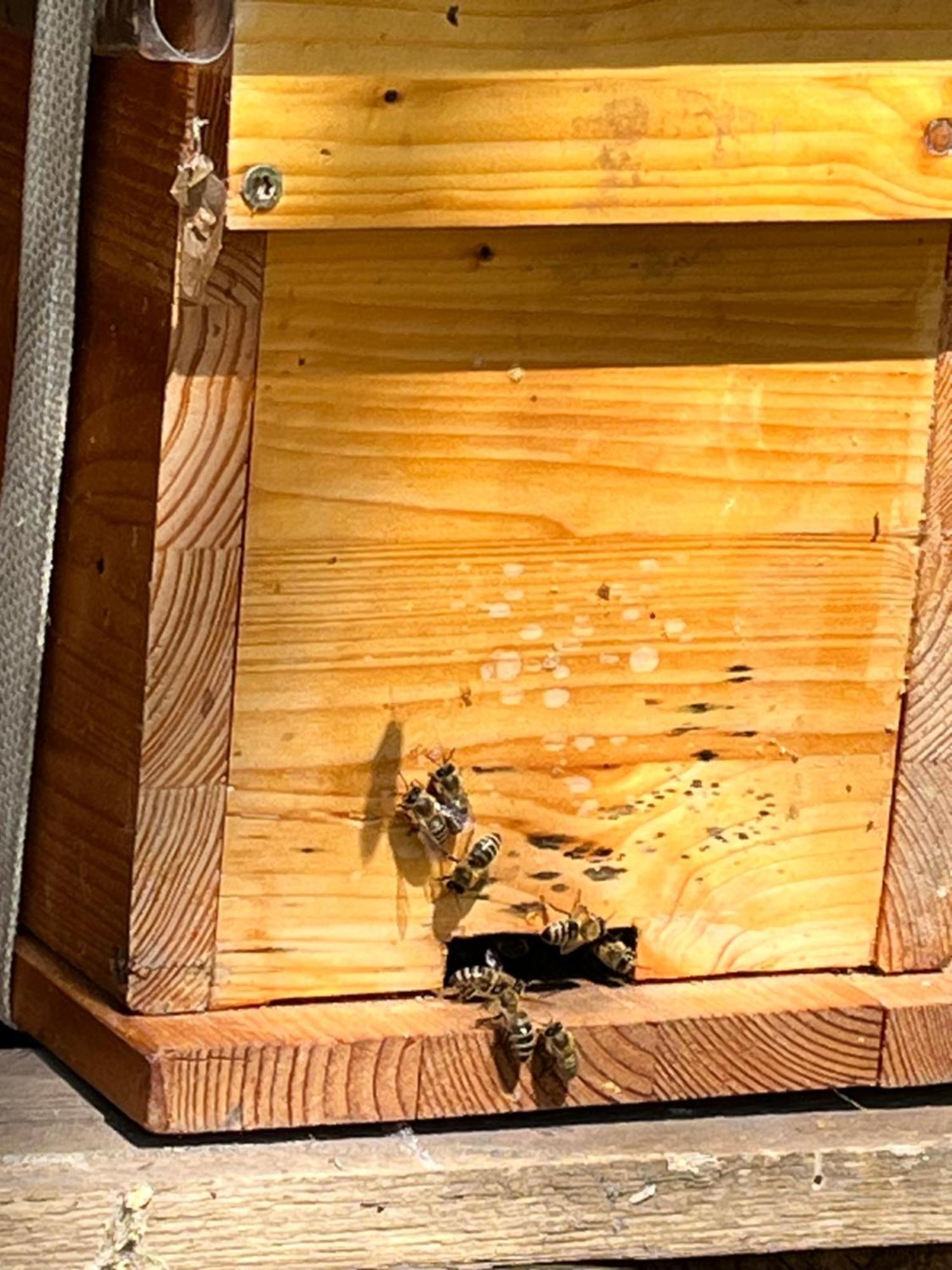 Hotel Wald Ist Zukunft Bernbeuren Exterior foto