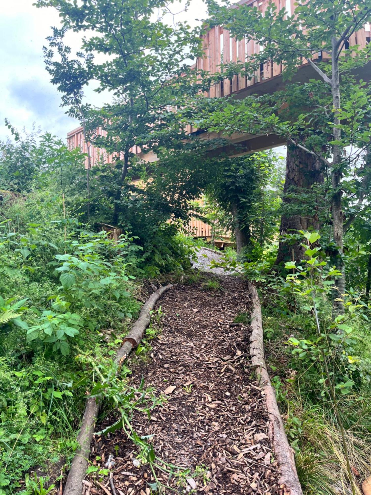 Hotel Wald Ist Zukunft Bernbeuren Exterior foto