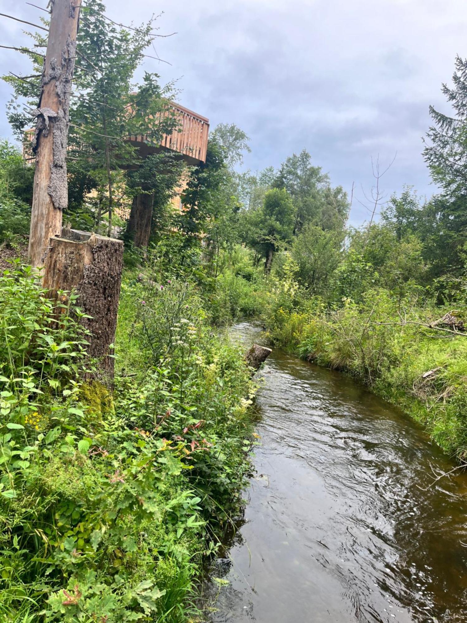 Hotel Wald Ist Zukunft Bernbeuren Exterior foto