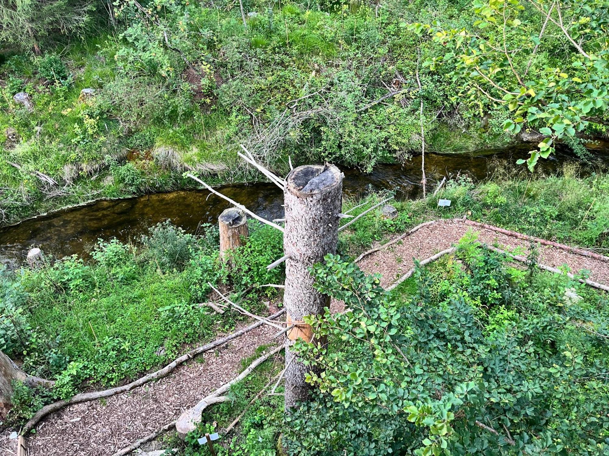 Hotel Wald Ist Zukunft Bernbeuren Exterior foto