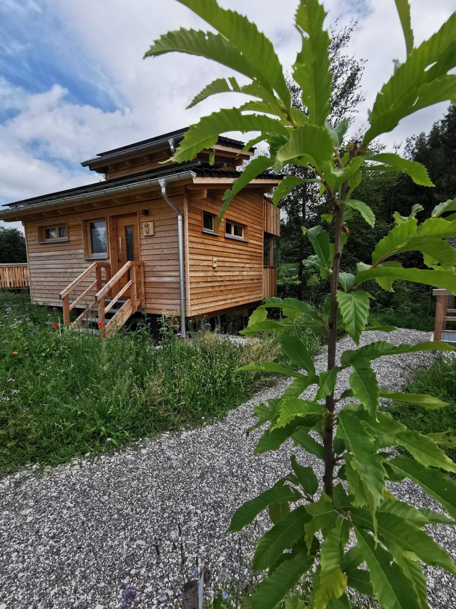 Hotel Wald Ist Zukunft Bernbeuren Exterior foto
