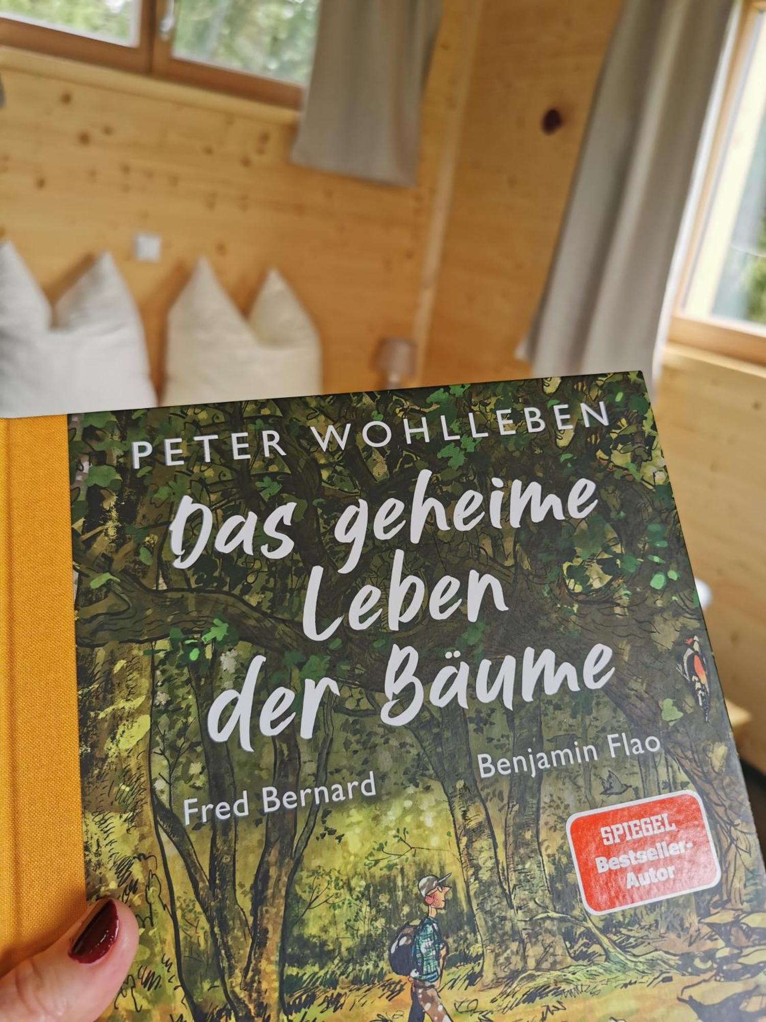 Hotel Wald Ist Zukunft Bernbeuren Exterior foto